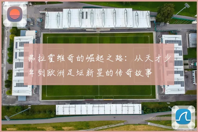 弗拉霍维奇的崛起之路：从天才少年到欧洲足坛新星的传奇故事